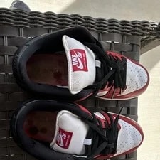 Nike SB Dunk Low J-Pack - Size 9.5 (Cleaned) 2