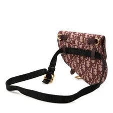 Christian Dior Trotter Saddle Body Waist ... GZl1jp3p 2