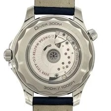 Omega Seamaster Diver 300M Co-Axial Master Chronometer 210.32.42.20.06.001 Gray 2