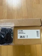 Asics Atmos GT-2160 Tapetum 10.5 US New Limited Edition 4