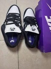 Nike SB Dunk Low Pro Court BQ6817-500 Size 11 Used With Box 2