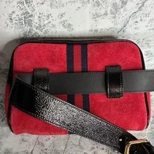 Gucci Marmont Ophidia 2