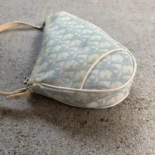 Christian Dior Genuine Trotter Saddle J 3