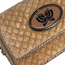Bottega Veneta One Postier Water Bei 2