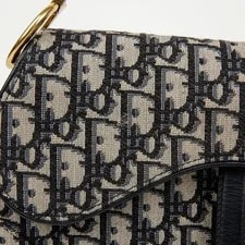 Dior M0446CTZQ Saddle 155791080 3