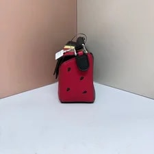 Authentic Loewe Puzzle Mini Crossbody -Tone 4