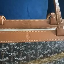 Goyard & Dust 2