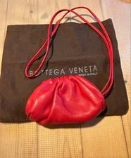Bottega Veneta the Pouch Coin 4