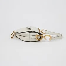 Dior Saddle Strap Crossbody 154323462 [P] 4
