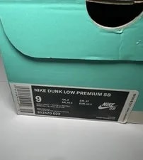 Size 9 - Nike SB Dunk Low Marty McFly 3