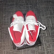 Air Jordan 11s 3