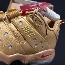 Supreme Metallic Nike SB Air Max 2 CB ‘94 Low 4