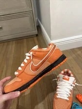Nike Sb Lobster Size 8.5 US (Worn Twice) 4