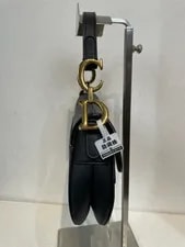 Dior Mini Saddle （Length: 19cm） 3
