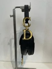 Dior Mini Saddle （Length: 19cm） 4