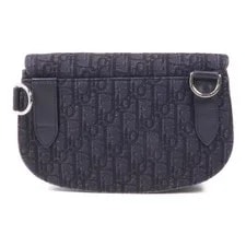 Christian Dior CD SHW Saddle 2