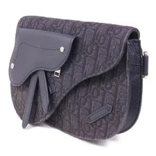 Christian Dior CD SHW Saddle 3