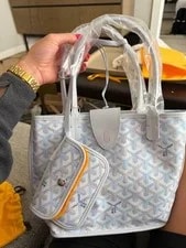 Goyard — Goyard Anjou - Limited Edition Multicolored in Polar . May 2026. — Handbag — resale