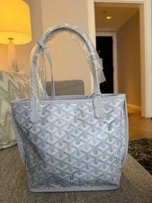 Goyard Anjou - Limited Edition Multicolored in Polar . May 2026. 2
