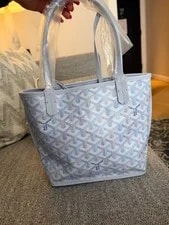 Goyard Anjou - Limited Edition Multicolored in Polar . May 2026. 3