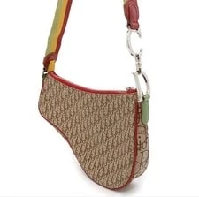 Christian Dior Rasta Saddle Trotter 2