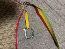 Christian Dior Rasta Saddle Trotter 4