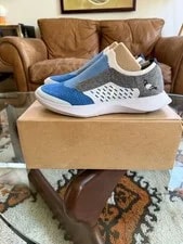 Jeff Staple X Allbirds Tree Dasher Pigeon M11.5 Limited Edition Unworn Box 2