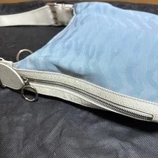 Fendi Zebra Print X From Japan 2
