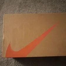 Nike SB Dunk Loe Pro ISO “Light ” Size 10.5 ’s 4