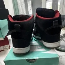 Nike Dunk SB High Brooklyn Projects 313171-025 Paparazzi 2
