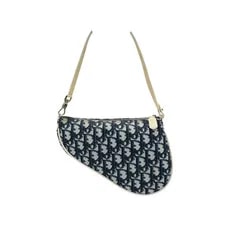 Dior Trotter Saddle Hand 2