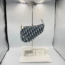 Dior Trotter Saddle Hand 3