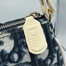 Dior Trotter Saddle Hand 4