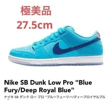 Nike SB — 9.5US Nike Sb Dunk Low Pro Fury — Sneaker — resale