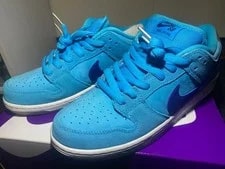 9.5US Nike Sb Dunk Low Pro Fury 2