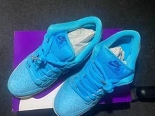 9.5US Nike Sb Dunk Low Pro Fury 3