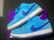 9.5US Nike Sb Dunk Low Pro Fury 4