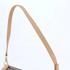 Christian Dior Saddle Trotter Genuine 4