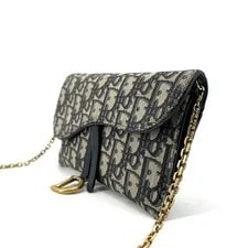 Dior Saddle WOC Chain Wallet Crossbody 155791277 4