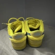 ’s Nike SB Dunks 2