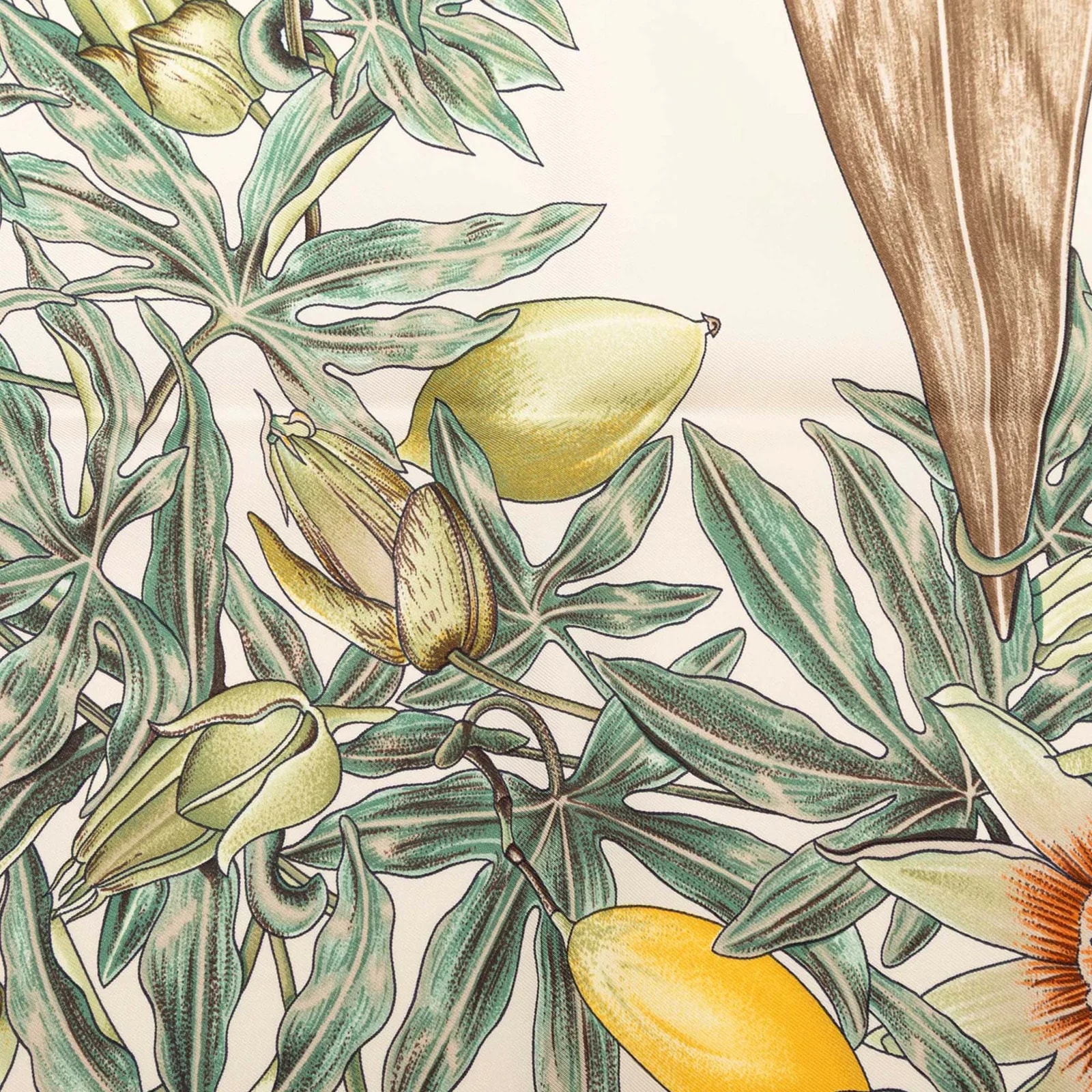 Passiflores Scarf 90 3