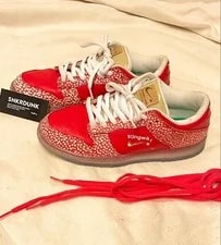 8.5US Nike Sb Dunk Stingwatdr With Box 2