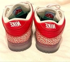 8.5US Nike Sb Dunk Stingwatdr With Box 4