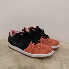 Fish Ladder Nike SB Size 11.5 Tried on Once 2