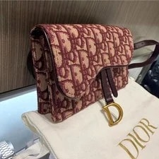 Dior Saddle Belt 2019 3