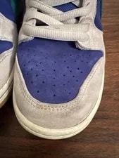Nike Dunk Sb Low Pro 2