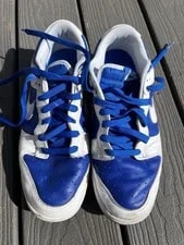 Nike Dunk Low Retro Racer 2