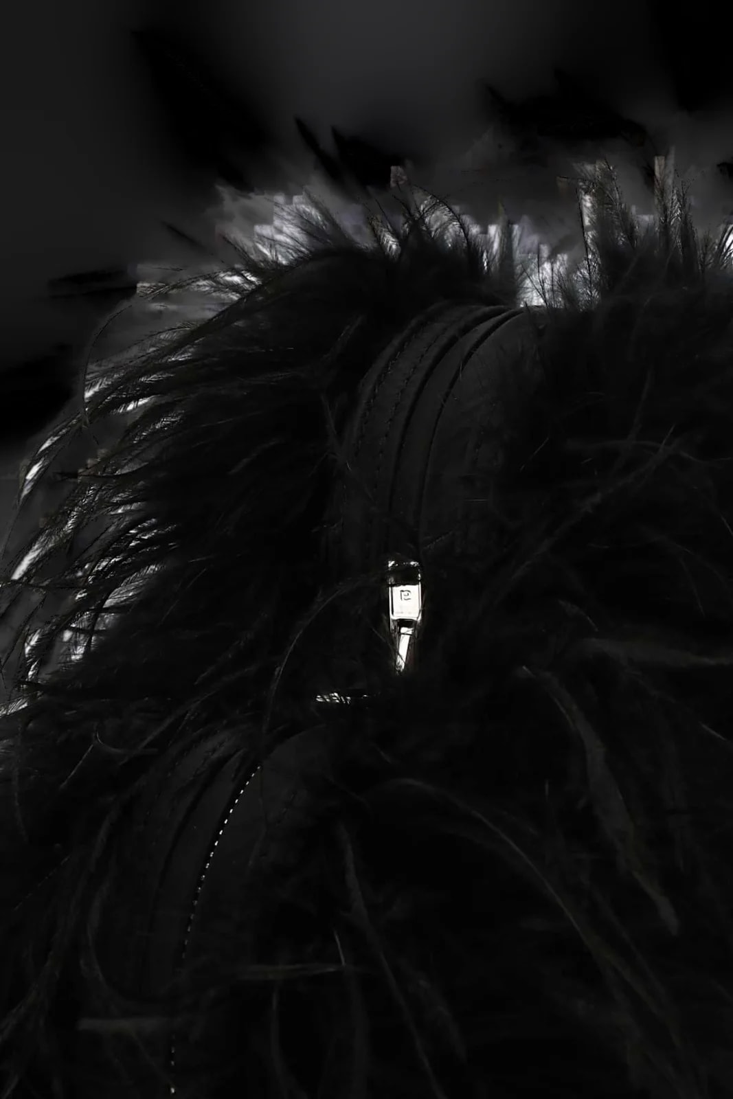 Alexander Wang Feather — 4