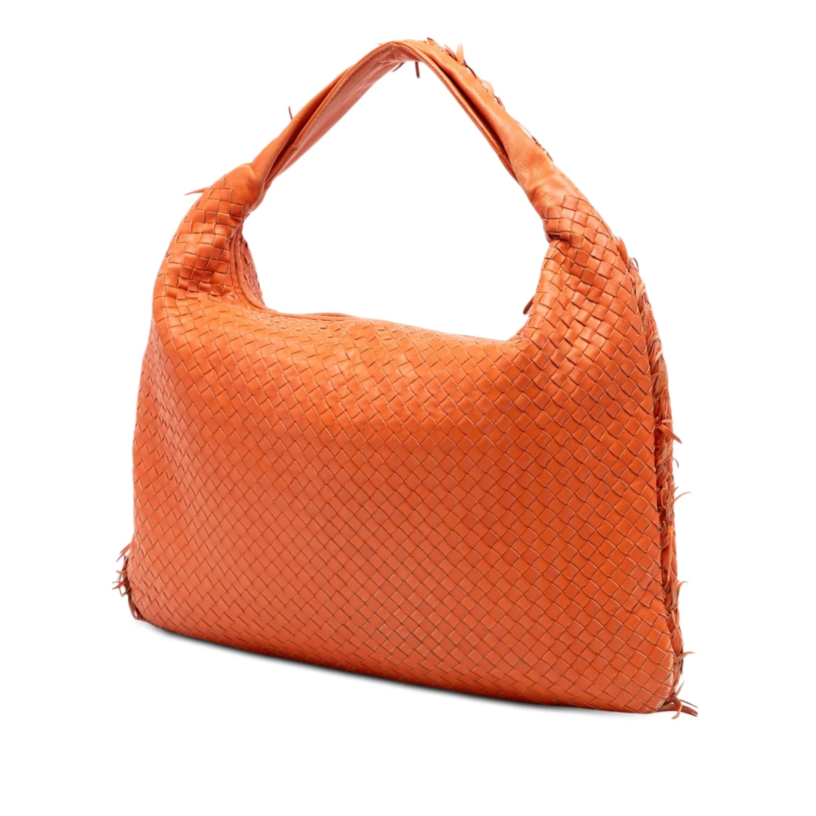 Large Fuzzy Veneta Hobo 2
