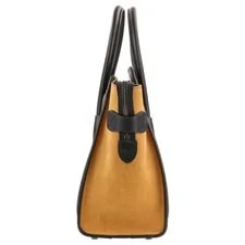 Celine Luggage Shopper 167793AY2.01BC 3
